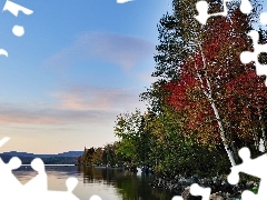 Las, Góry, Jezioro