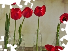 Aniołek, Butelki, Czerwone, Tulipany