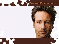 brązowe włosy, niebieskie oczy, David Duchovny