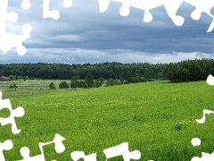 Pagórki, Las, Łąka, Pole