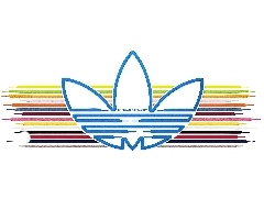 Sznurówki, Tulipan, Adidas