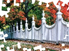 Białe, Park, Jesień, Ogrodzenie, Drzewa
