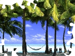 Hamak, Palmy, Plaża