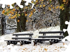 Zima, Ławki, Park, Drzewa