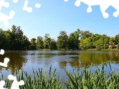 Drzewa, Niebo, Jezioro
