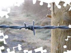 Pajęczyna, Ogrodzenie, Drut