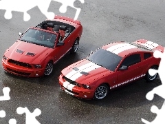 Ford Mustang, Cabrio, Mustang Shelby