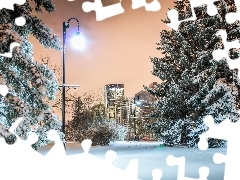 Park, Lampa, Zima
