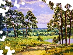 Droga, Drzewa, Leśna