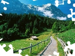 Polana, Ścieżka, Góry