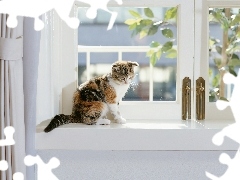 Okno, Parapet, Kot