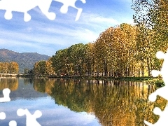 Drzewa, Jesień, Jezioro