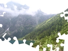 Morskie Oko, Zakopane