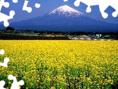 Japonia, Fuji, Łąka, Góra