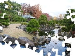 Kamienie, Drzewa, Woda