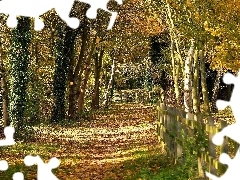 Jesień, Ogrodzenie, Leśna, Dróżka