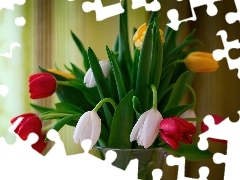 Tulipany, Wazon, Kolorowe