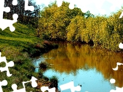 Drzewa, Trawy, Rzeka