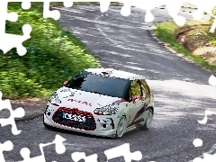 Rajd, Citroen DS3