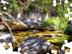 Kamienie, Las, Woda