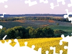 Drzewa, Krajobraz, Wzgórza