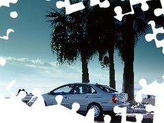 Drzewa, Citroen C5