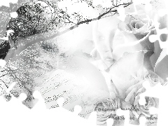 róże, Nightwish