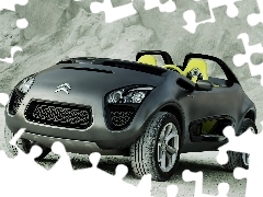Emblemat, Firmowy, Citroen C-Buggy