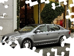 Witryna, Ulica, Srebrny, Skoda Superb
