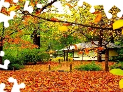Liście, Chatka, Park