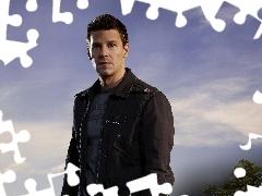 David Boreanaz