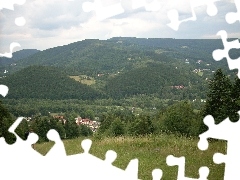 drzewa , lasy, Góry