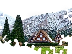 Lasy, Domki, Góry