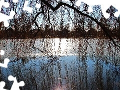 Jezioro, Wierzba, Zamarznięte