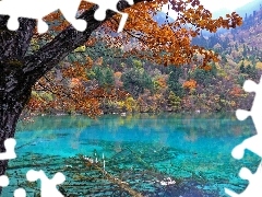 Drzewa, Kolorowe, Jezioro, Góry