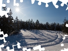 Promienie, Koleiny, Las, Słońca, Śnieg