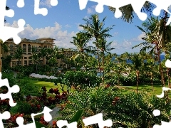 Morze, Kwiaty, Palmy, Hotel, Hawaje, Park