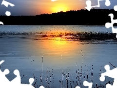 Las, Słońca, Jezioro, Zachód