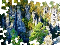 Góry, Las, Skaliste