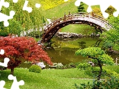 Staw, Mostek, Park, Japoński