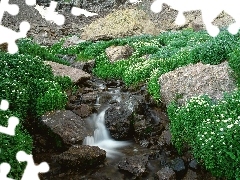 Kamienie, Strumyk