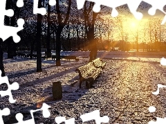 Ławki, Przebijające, Słońce, Park, Drzewa, Zima