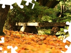 Park, Jesień, Ławeczka
