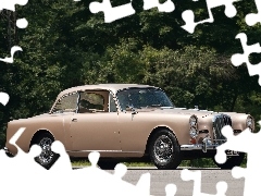 Alvis TE21 1965