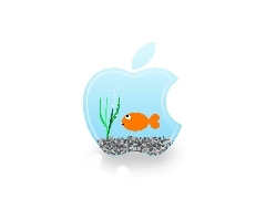 Apple, Akwarium