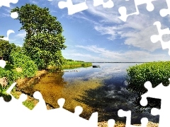 Stołki, Stół, Jezioro, Drzewa