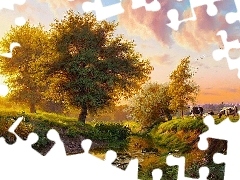 Zachód, Rzeka, Łąka, Krowy, Słońca, Drzewa