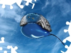 Balon, Niebo, Hipopotam