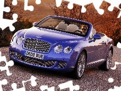 Właścicielka, Bentley Continental GTC