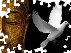 Gołąb, Budda, Biały